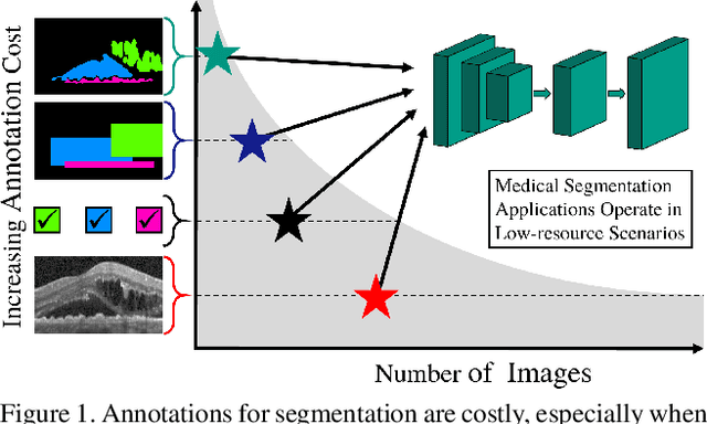 Figure 1 for Every Annotation Counts: Multi-label Deep Supervision for Medical Image Segmentation