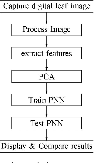 Figure 1 for A Leaf Recognition Algorithm for Plant Classification Using Probabilistic Neural Network