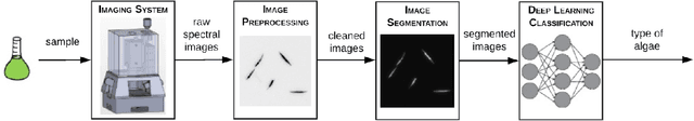 Figure 3 for Investigating the Automatic Classification of Algae Using Fusion of Spectral and Morphological Characteristics of Algae via Deep Residual Learning