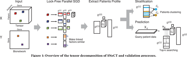 Figure 1 for SNeCT: Scalable network constrained Tucker decomposition for integrative multi-platform data analysis