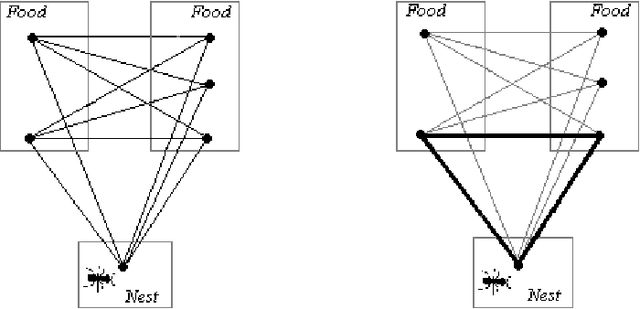 Figure 2 for The Generalized Traveling Salesman Problem solved with Ant Algorithms