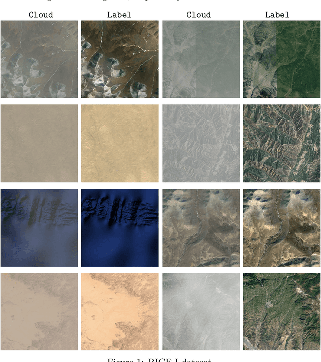 Figure 1 for A Remote Sensing Image Dataset for Cloud Removal