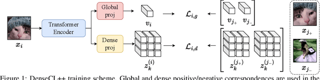 Figure 1 for Improving Dense Contrastive Learning with Dense Negative Pairs