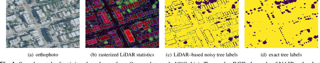 Figure 1 for Monitoring Urban Forests from Auto-Generated Segmentation Maps