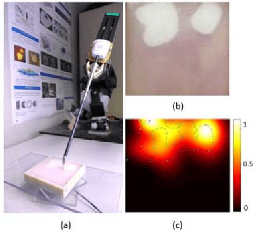 Figure 1 for Trajectory-Optimized Sensing for Active Search of Tissue Abnormalities in Robotic Surgery