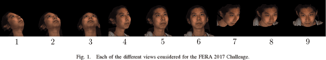 Figure 1 for FERA 2017 - Addressing Head Pose in the Third Facial Expression Recognition and Analysis Challenge
