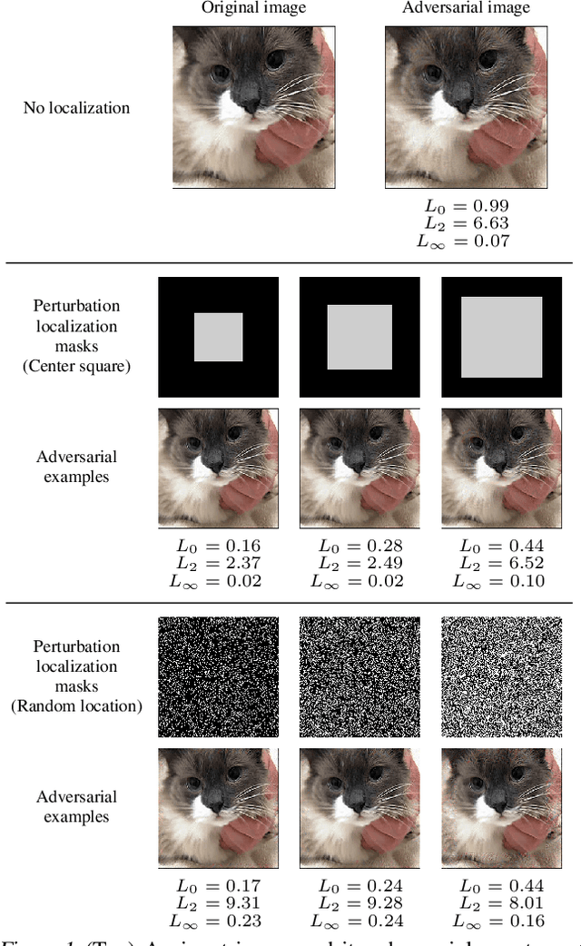 Figure 1 for Regional Image Perturbation Reduces $L_p$ Norms of Adversarial Examples While Maintaining Model-to-model Transferability