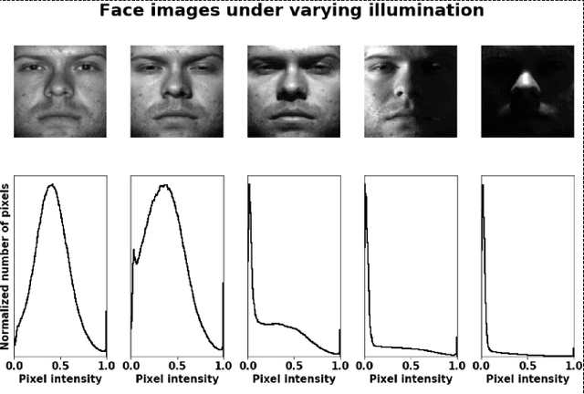 Figure 1 for Local Sliced-Wasserstein Feature Sets for Illumination-invariant Face Recognition