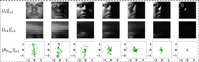Figure 2 for Local Sliced-Wasserstein Feature Sets for Illumination-invariant Face Recognition