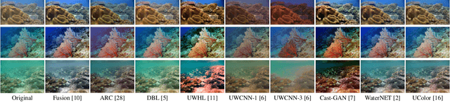 Figure 2 for On the limits of perceptual quality measures for enhanced underwater images