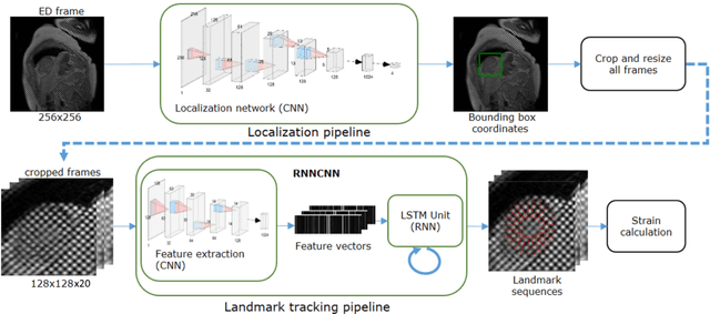 Figure 3 for Fully Automated Myocardial Strain Estimation from CMR Tagged Images using a Deep Learning Framework in the UK Biobank