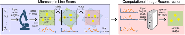 Figure 2 for Compressed Sensing Microscopy with Scanning Line Probes