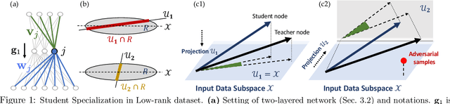 Figure 1 for Understanding Robustness in Teacher-Student Setting: A New Perspective