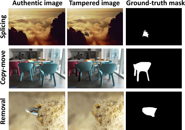 Figure 1 for Learning Rich Features for Image Manipulation Detection