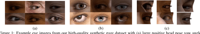 Figure 1 for Light-weight Head Pose Invariant Gaze Tracking