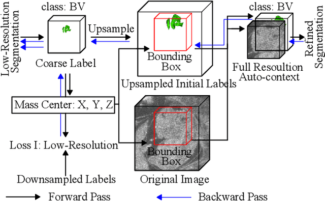 Figure 4 for Deep Mouse: An End-to-end Auto-context Refinement Framework for Brain Ventricle and Body Segmentation in Embryonic Mice Ultrasound Volumes