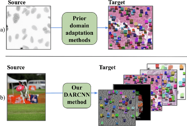 Figure 1 for DARCNN: Domain Adaptive Region-based Convolutional Neural Network for Unsupervised Instance Segmentation in Biomedical Images
