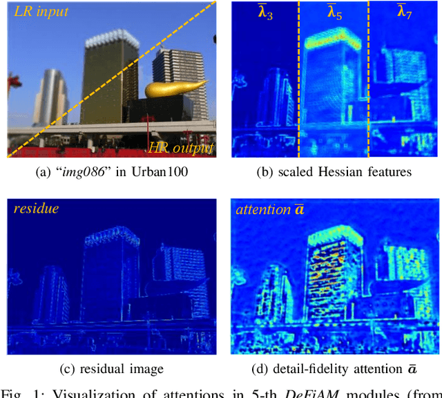 Figure 1 for Interpretable Detail-Fidelity Attention Network for Single Image Super-Resolution