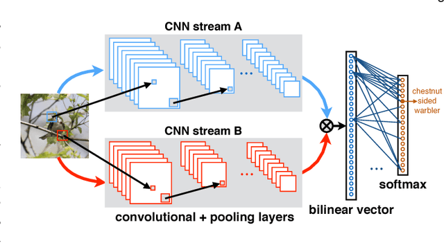Figure 1 for Bilinear CNNs for Fine-grained Visual Recognition