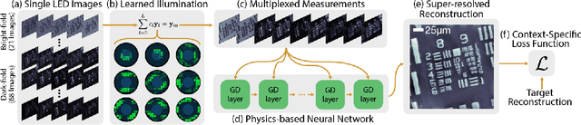 Figure 3 for Data-Driven Design for Fourier Ptychographic Microscopy