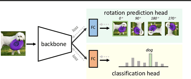 Figure 1 for What Does Rotation Prediction Tell Us about Classifier Accuracy under Varying Testing Environments?