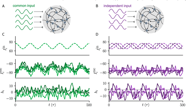 Figure 1 for Input correlations impede suppression of chaos and learning in balanced rate networks