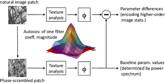 Figure 2 for A Generative Model of Natural Texture Surrogates