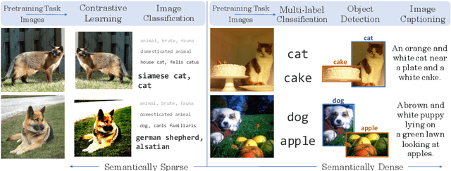 Figure 1 for VirTex: Learning Visual Representations from Textual Annotations