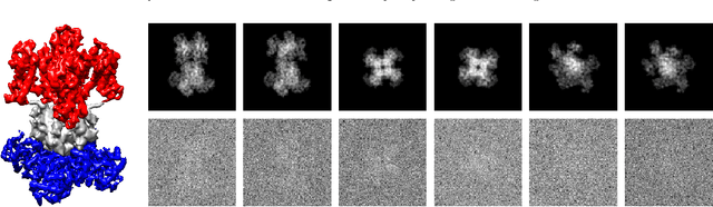 Figure 1 for Cryo-EM reconstruction of continuous heterogeneity by Laplacian spectral volumes