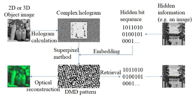 Figure 1 for Data hiding in complex-amplitude modulation using a digital micromirror device