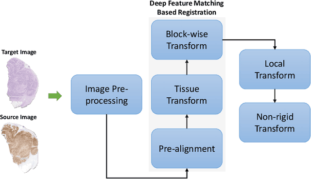 Figure 1 for Deep Feature based Cross-slide Registration