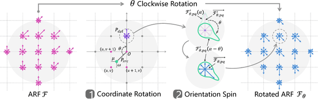 Figure 3 for Oriented Response Networks