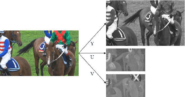 Figure 4 for Transform Network Architectures for Deep Learning based End-to-End Image/Video Coding in Subsampled Color Spaces
