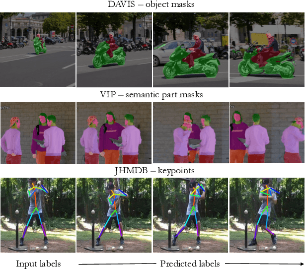 Figure 1 for Transfer of Representations to Video Label Propagation: Implementation Factors Matter
