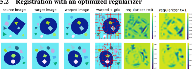 Figure 4 for Region-specific Diffeomorphic Metric Mapping