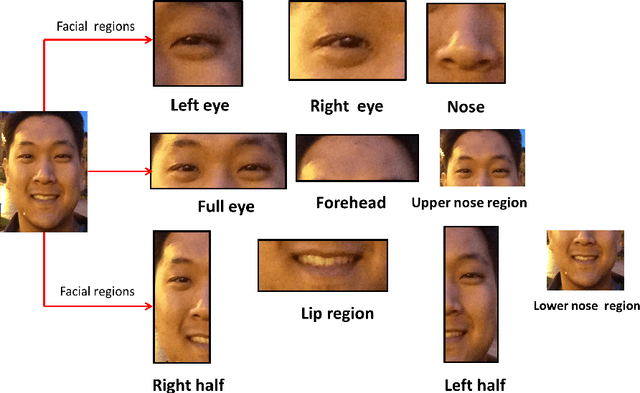 Figure 1 for Recognizing Gender from Human Facial Regions using Genetic Algorithm