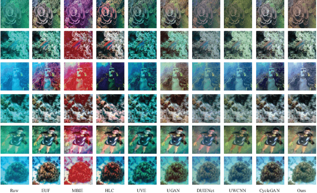 Figure 3 for MLFcGAN: Multi-level Feature Fusion based Conditional GAN for Underwater Image Color Correction