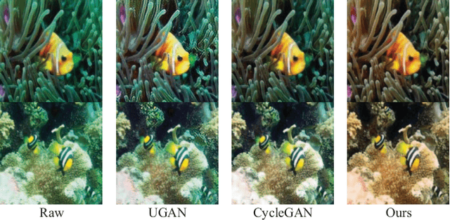 Figure 4 for MLFcGAN: Multi-level Feature Fusion based Conditional GAN for Underwater Image Color Correction