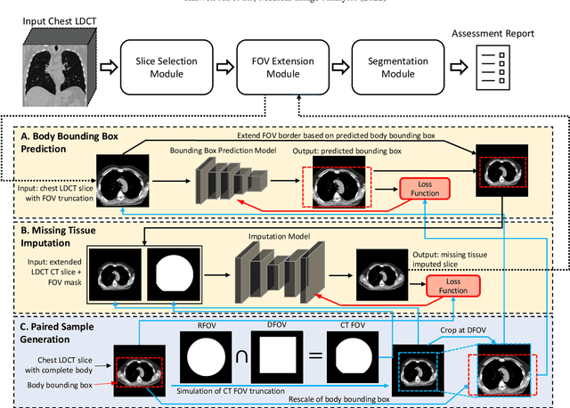 Figure 3 for Body Composition Assessment with Limited Field-of-view Computed Tomography: A Semantic Image Extension Perspective