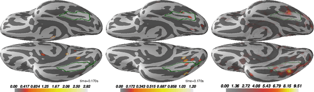 Figure 4 for Group level MEG/EEG source imaging via optimal transport: minimum Wasserstein estimates