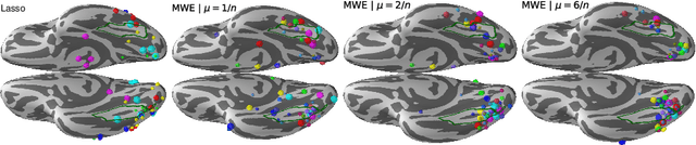 Figure 2 for Group level MEG/EEG source imaging via optimal transport: minimum Wasserstein estimates