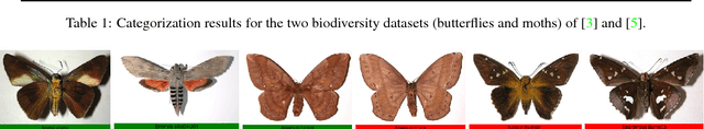 Figure 2 for Fine-grained Recognition Datasets for Biodiversity Analysis