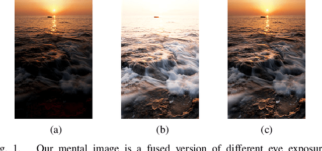 Figure 1 for A Bio-Inspired Multi-Exposure Fusion Framework for Low-light Image Enhancement