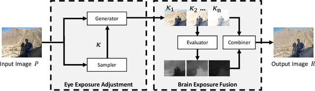 Figure 4 for A Bio-Inspired Multi-Exposure Fusion Framework for Low-light Image Enhancement