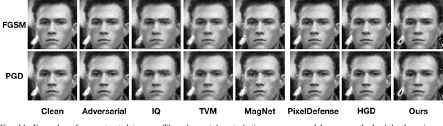Figure 3 for Perturbation Inactivation Based Adversarial Defense for Face Recognition