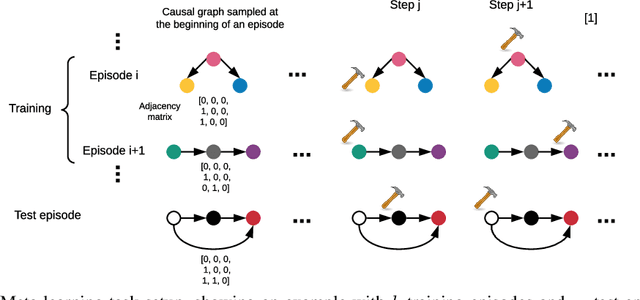 Figure 1 for Amortized learning of neural causal representations