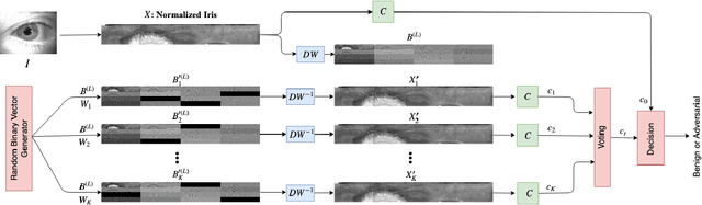Figure 1 for Defending Against Adversarial Iris Examples Using Wavelet Decomposition