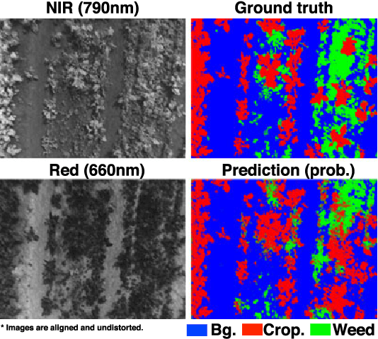 Figure 1 for weedNet: Dense Semantic Weed Classification Using Multispectral Images and MAV for Smart Farming