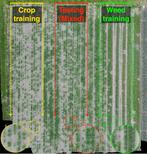 Figure 4 for weedNet: Dense Semantic Weed Classification Using Multispectral Images and MAV for Smart Farming