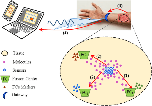 Figure 1 for Joint Sensing, Communication and Localization of a Silent Abnormality Using Molecular Diffusion